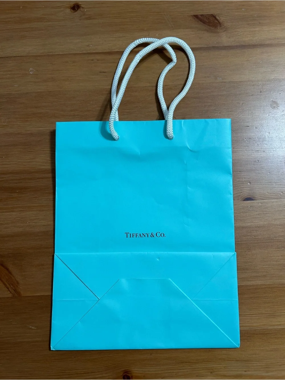 Tiffany & Co. gift bag